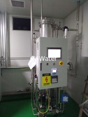 Sanitization Terms/Definitions for PW and WFI Storage and Distribution Systems, Loop Piping and Sterile Process Piping