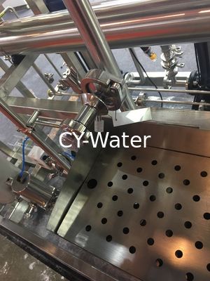 High Temperature Reverse Osmosis System +EDI For Pharmaceutical Industry and high-quality cosmetic